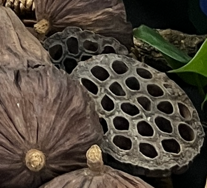 Botanical Mix Large